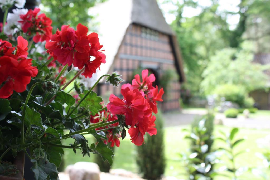 Ostehof Weertzen Villa Luaran gambar